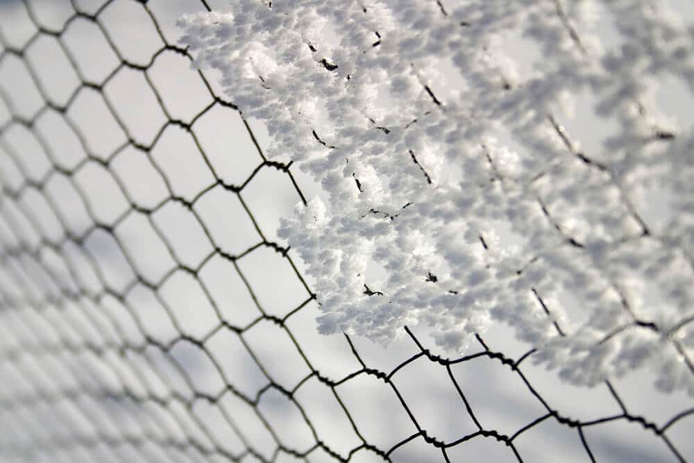 Hoarfrost on a wire-mesh fence | BigEasyFences