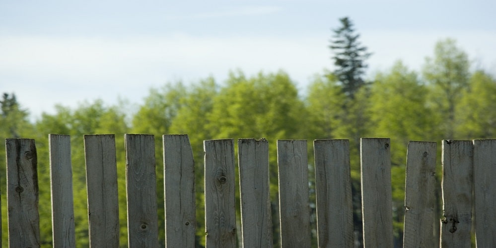 Wood Fence panels - Golden Gate Fences