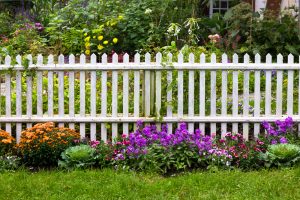 Wood Fence from home - Bige asy fences