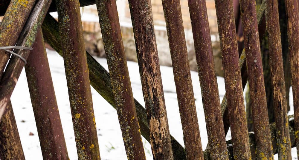 Old wooden fence - new orleans
