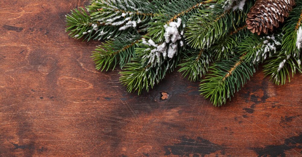 other types of wood