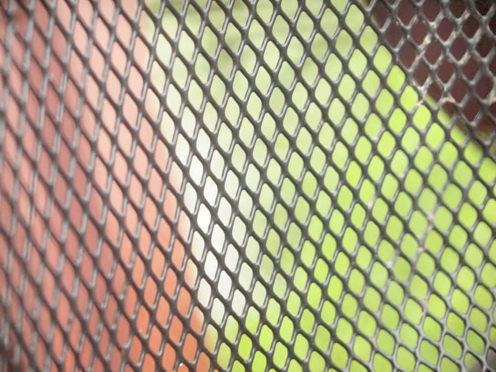 Chain Link Fence Upgrade