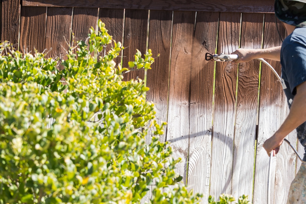 Professional Painter Spraying House Yard Fence with Wood Stain.
