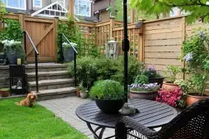 Small garden with wooden fence