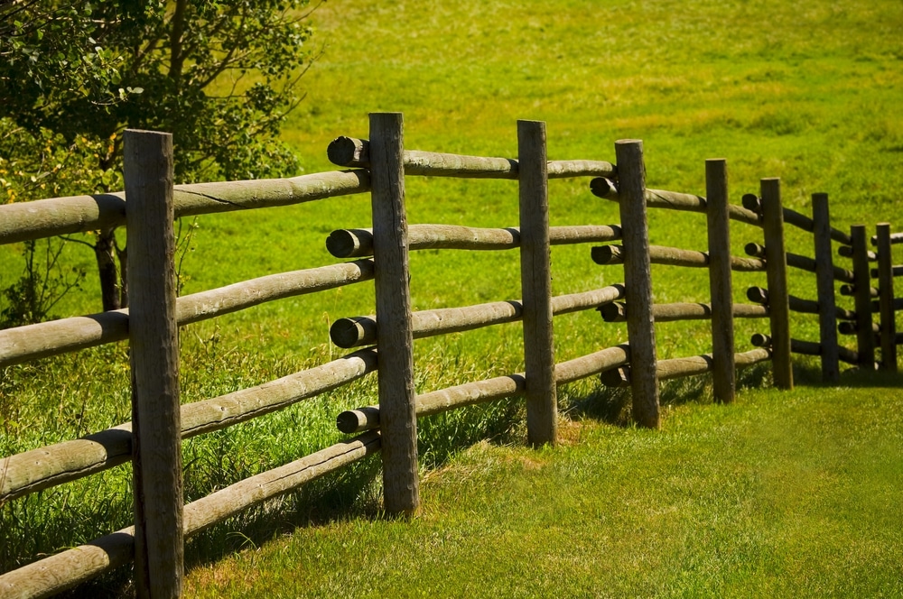 Wooden Fence