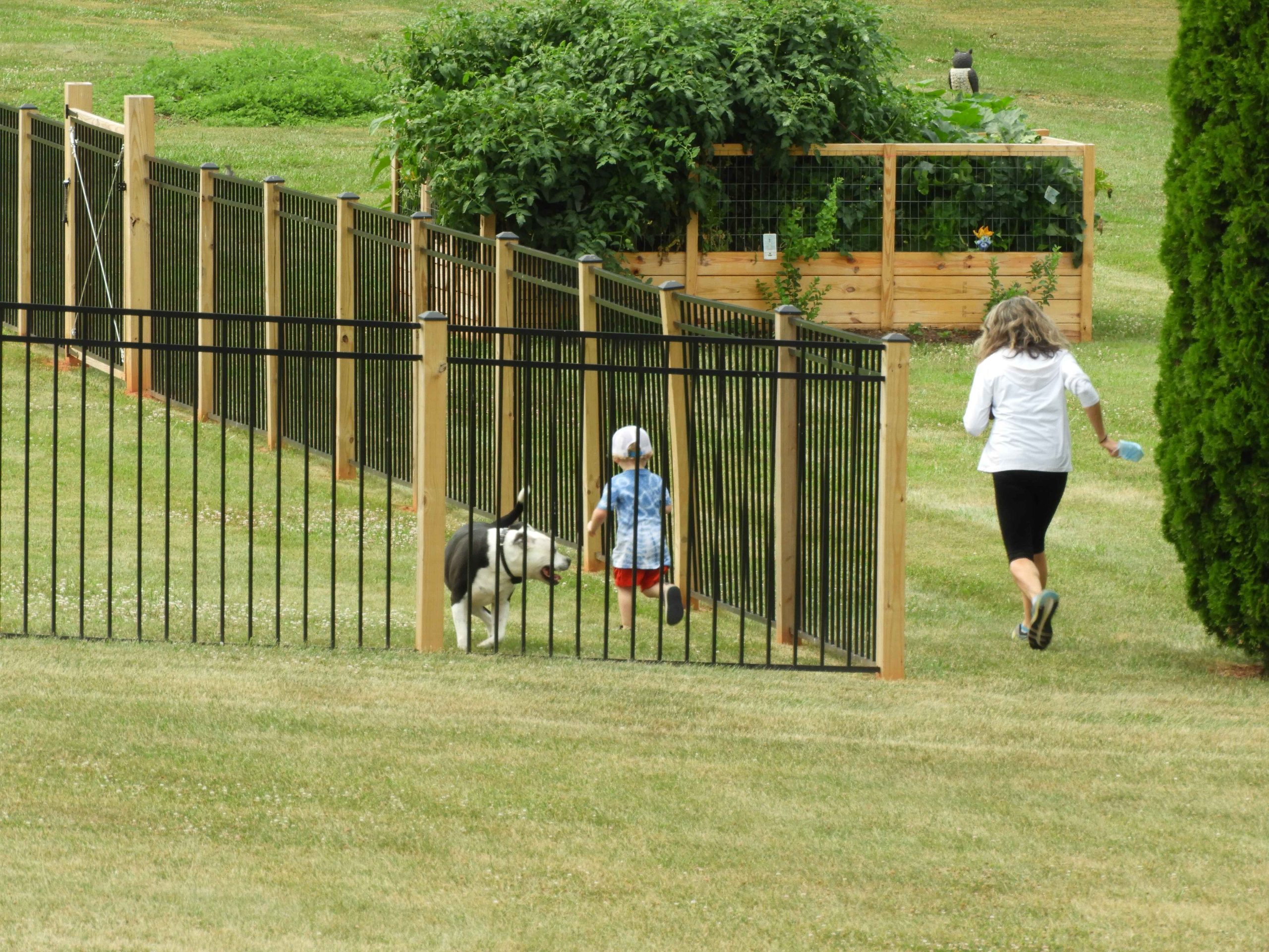 little boy and his mom with their dog playing around in their new fence