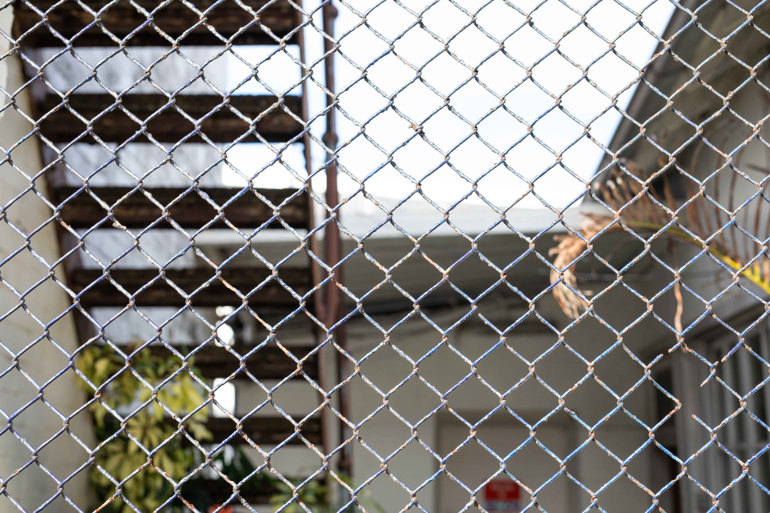 chain link fence- Golden Gate Fences