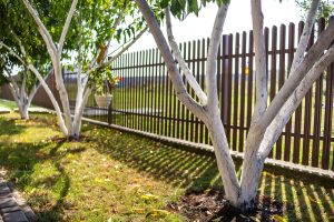 fencing conservation- GoldenGateFences