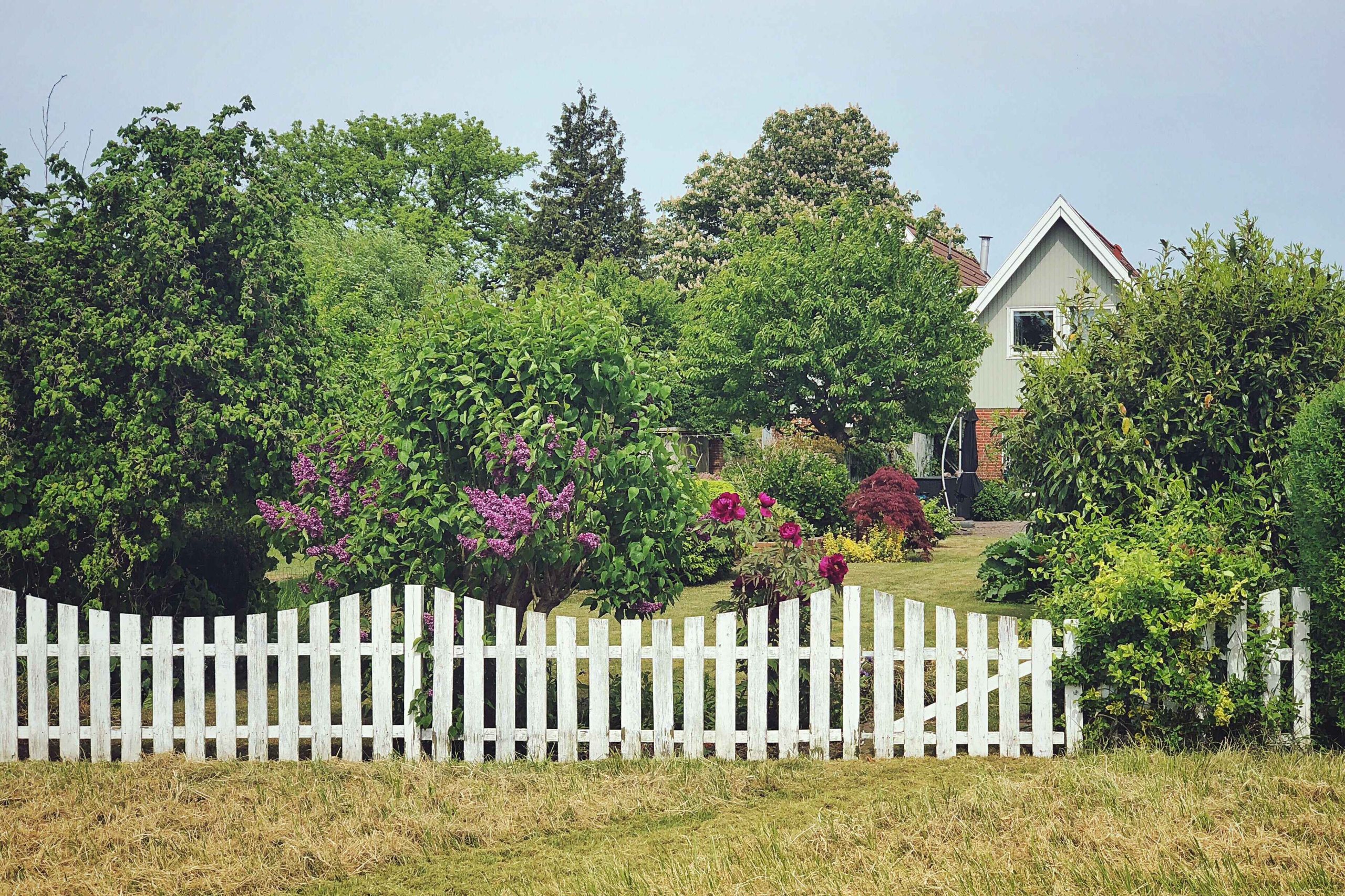 picket fence- Golden Gate Fences